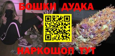 индика Пугачёв