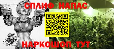 индика Пугачёв